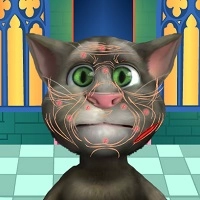 Talking Tom Schönheitsoperation